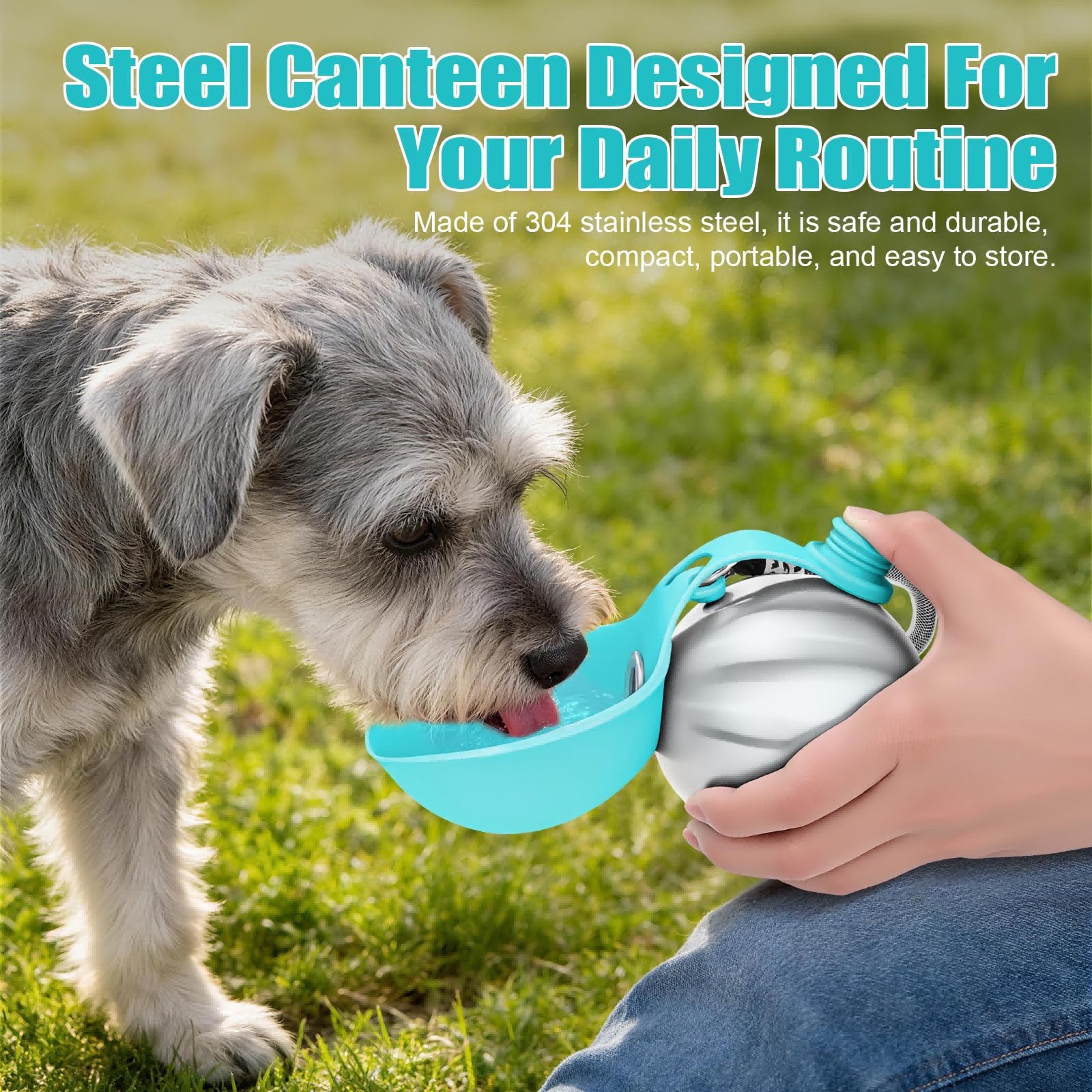 Botella de agua portátil para perros AriasCreative de 300 ml en acero inoxidable con bebedero antiderrames para paseos y viajes